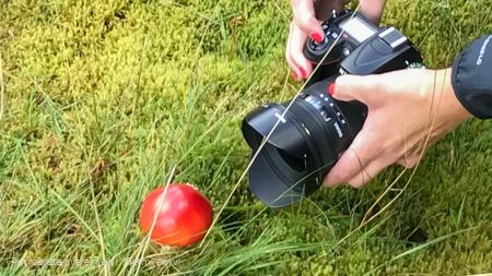 Kamera und roter Fliegenpilz