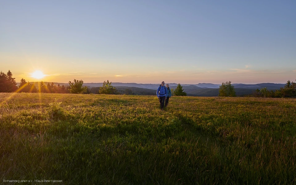 Wandernde im Sonnenuntergang auf dem Kahler Asten