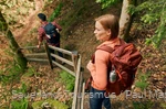 Zwei Wandernde auf einem Pfad im Wald